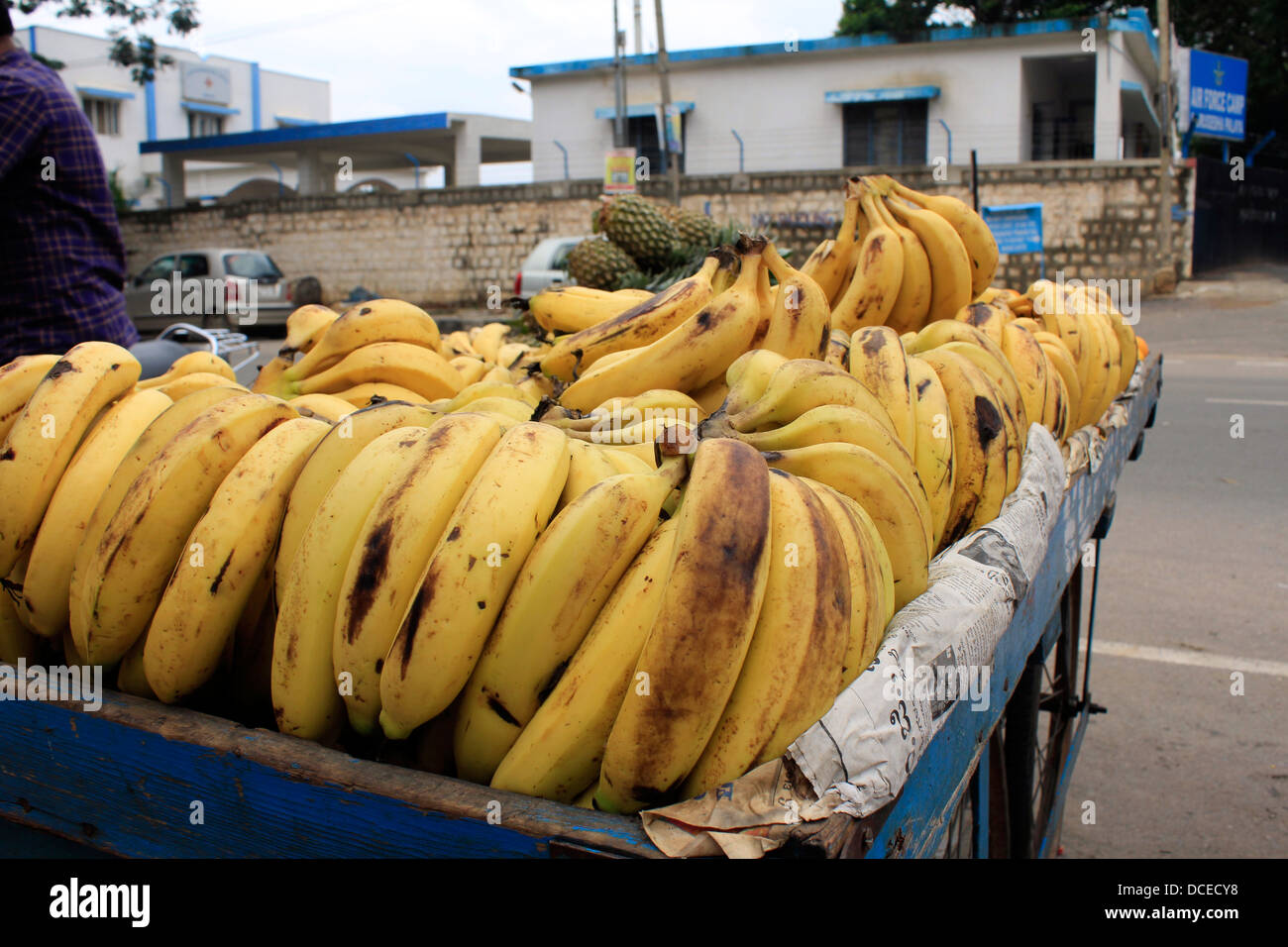 Bananen in einem street Shop in Bangalore, Indien Stockfoto