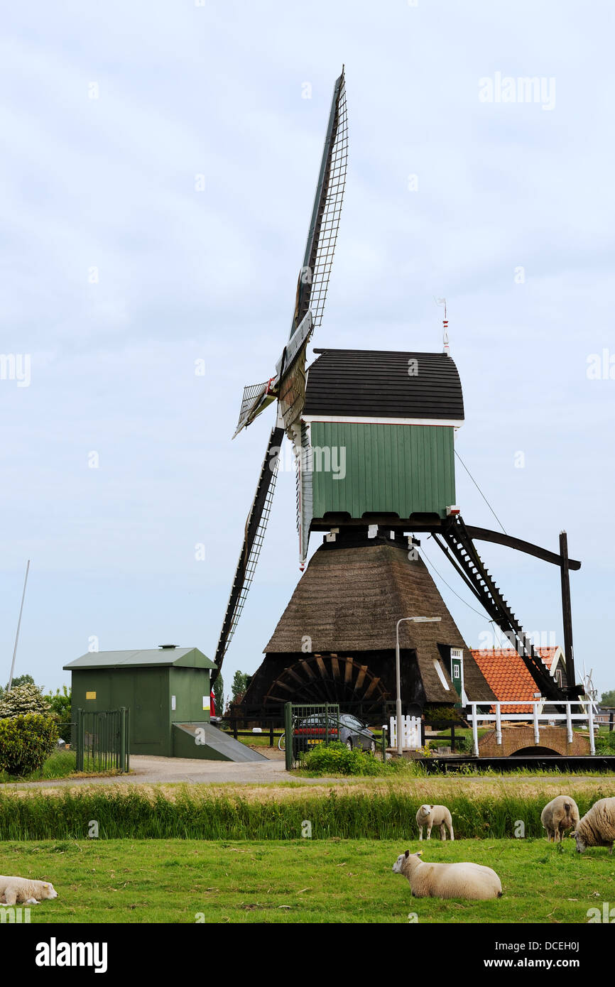 Windmühle in Holland Stockfoto