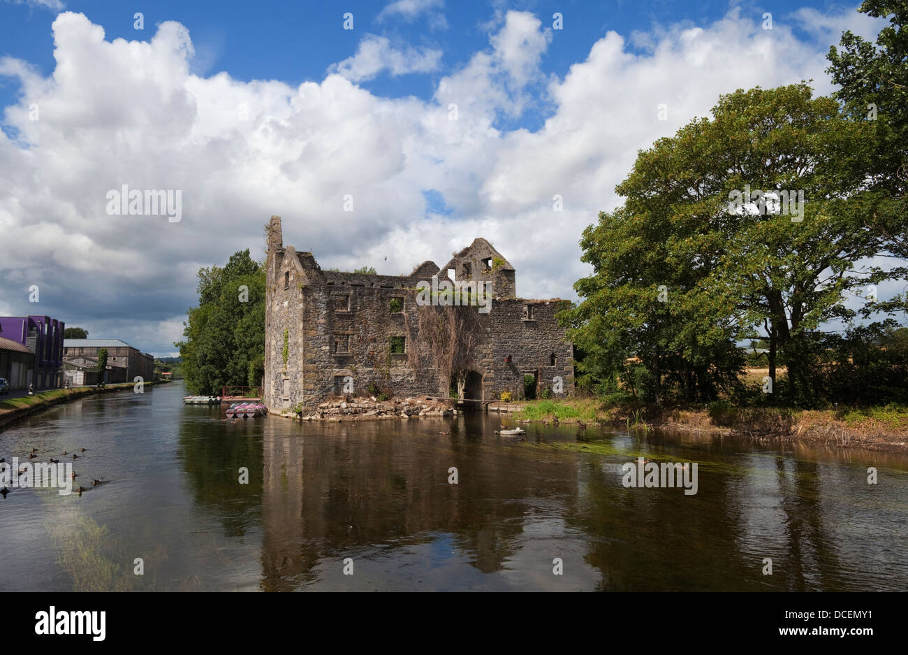 Rudkin die Mühle am Fluss Barrow, Muine Bheag (aka Bagenalstown), County Carlow, Irland Stockfoto