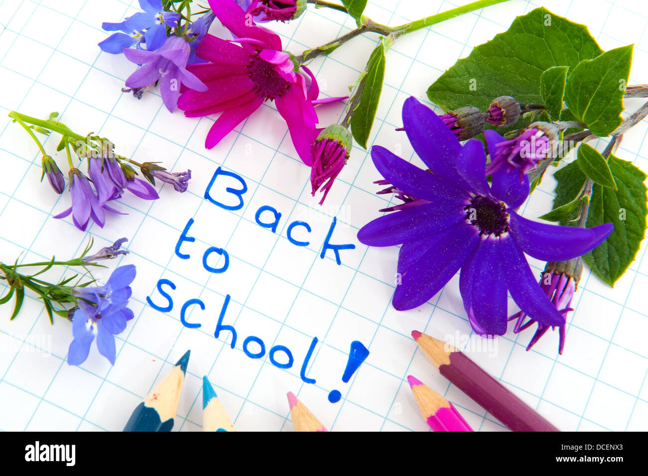 Zurück zur Schule mit Blumen Stockfoto