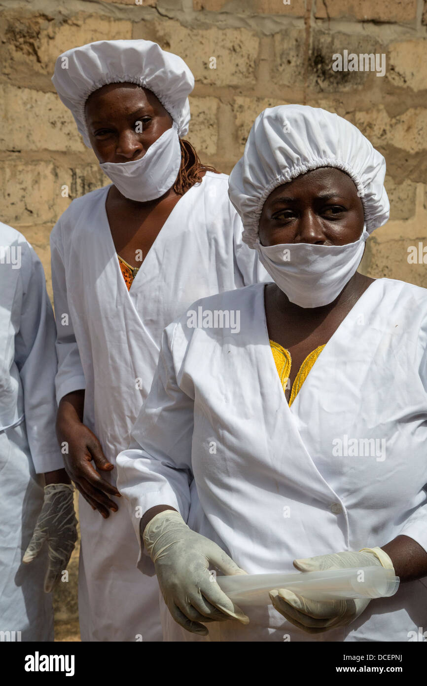 Arbeitnehmerinnen bei Cashew-Nuss Farm, Gambia Stockfoto