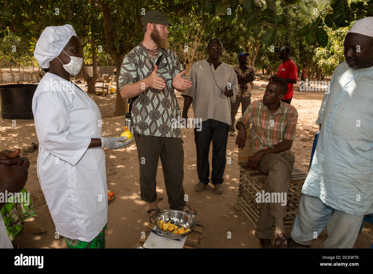 Friedenskorps Freiwilliger im Gespräch mit Cashew Bauernhof Personal, Gambia. Stockfoto