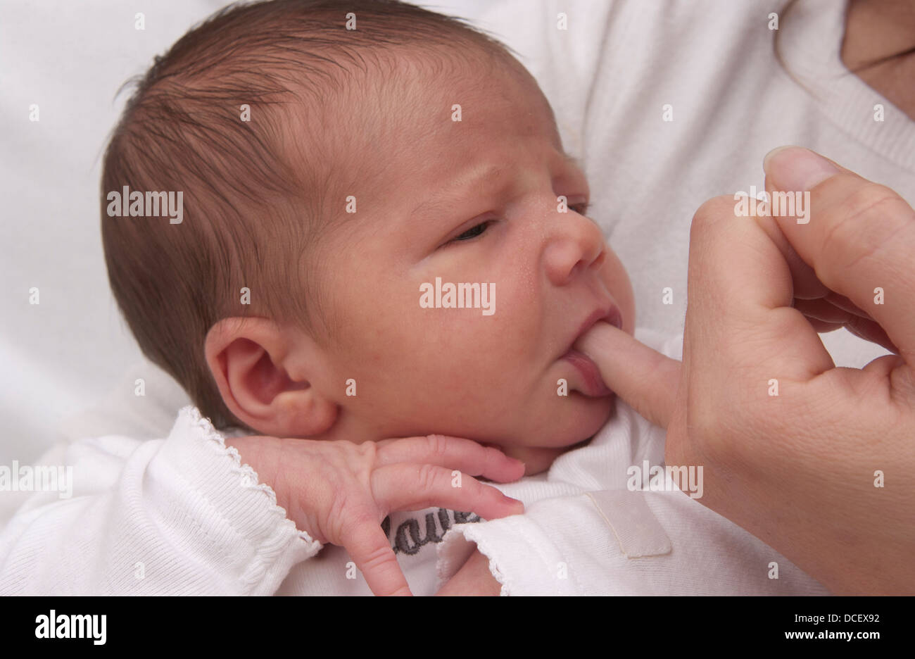 Neugeborenes Baby saugen an Mütter-finger Stockfoto