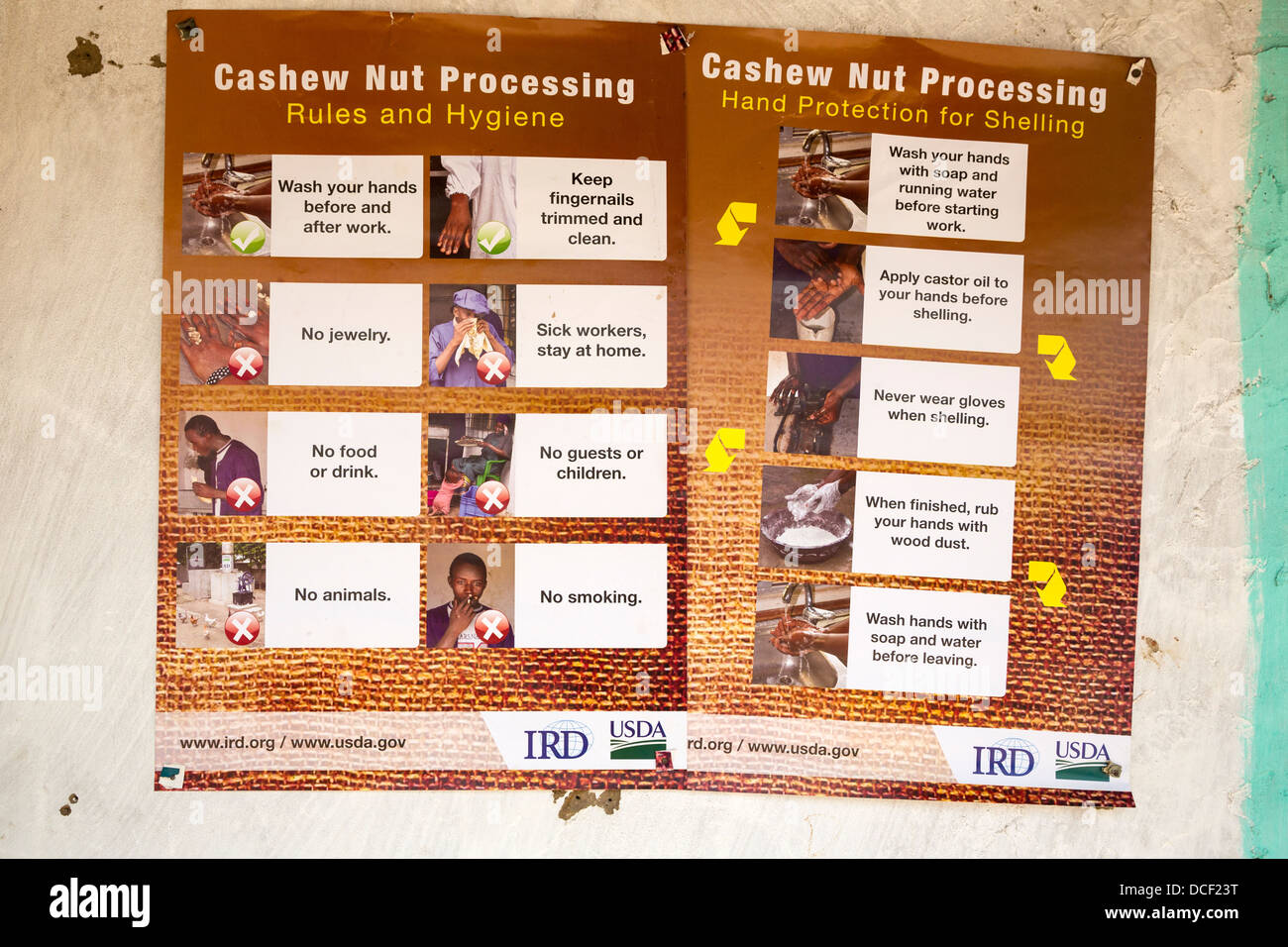 Regeln und Hygiene für Arbeitnehmer. Gruppe Juboo Cashew-Nuss Processing Center, Fass Njaga Choi, North Bank Region, Gambia Stockfoto