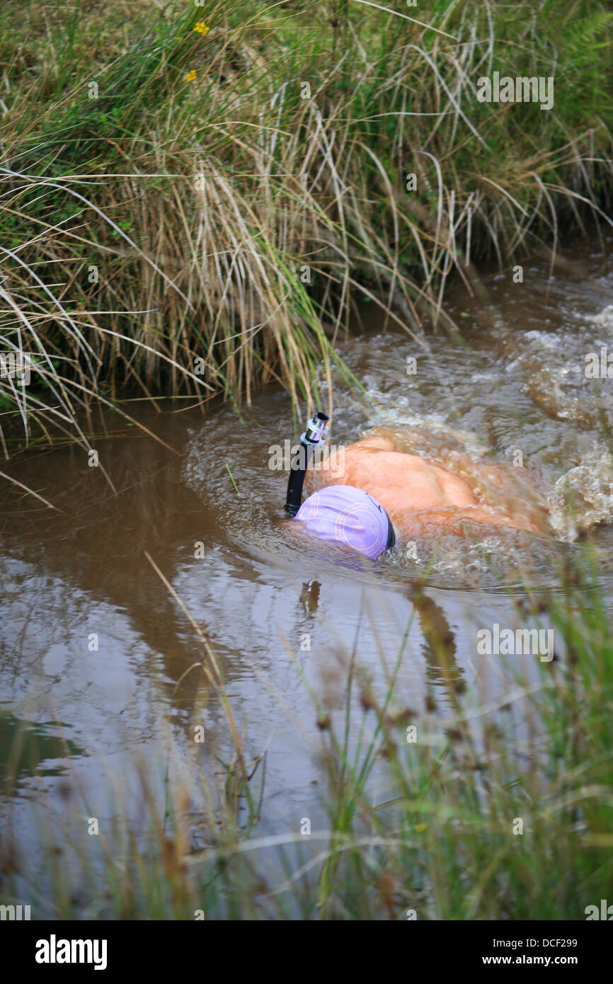 Ein Mann in der Moor-Schnorcheln-Meisterschaft in Waen Rhydd Torfmoor, Llanwrtyd Wells Mitte Wales schwimmen. Stockfoto