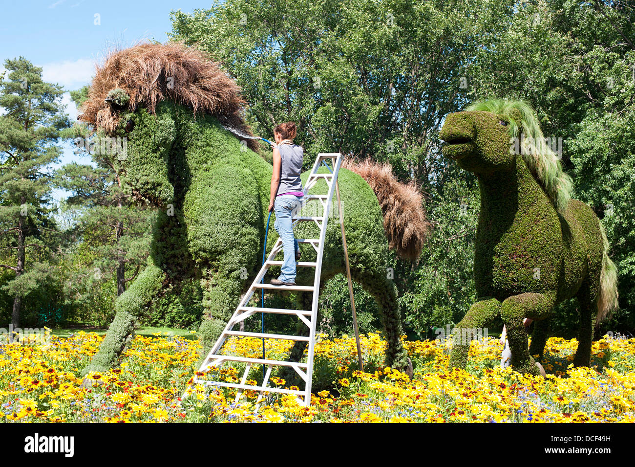 Gartenbau Pferd Skulpturen in Montreal International Mosaiculture Ausstellung Stockfoto