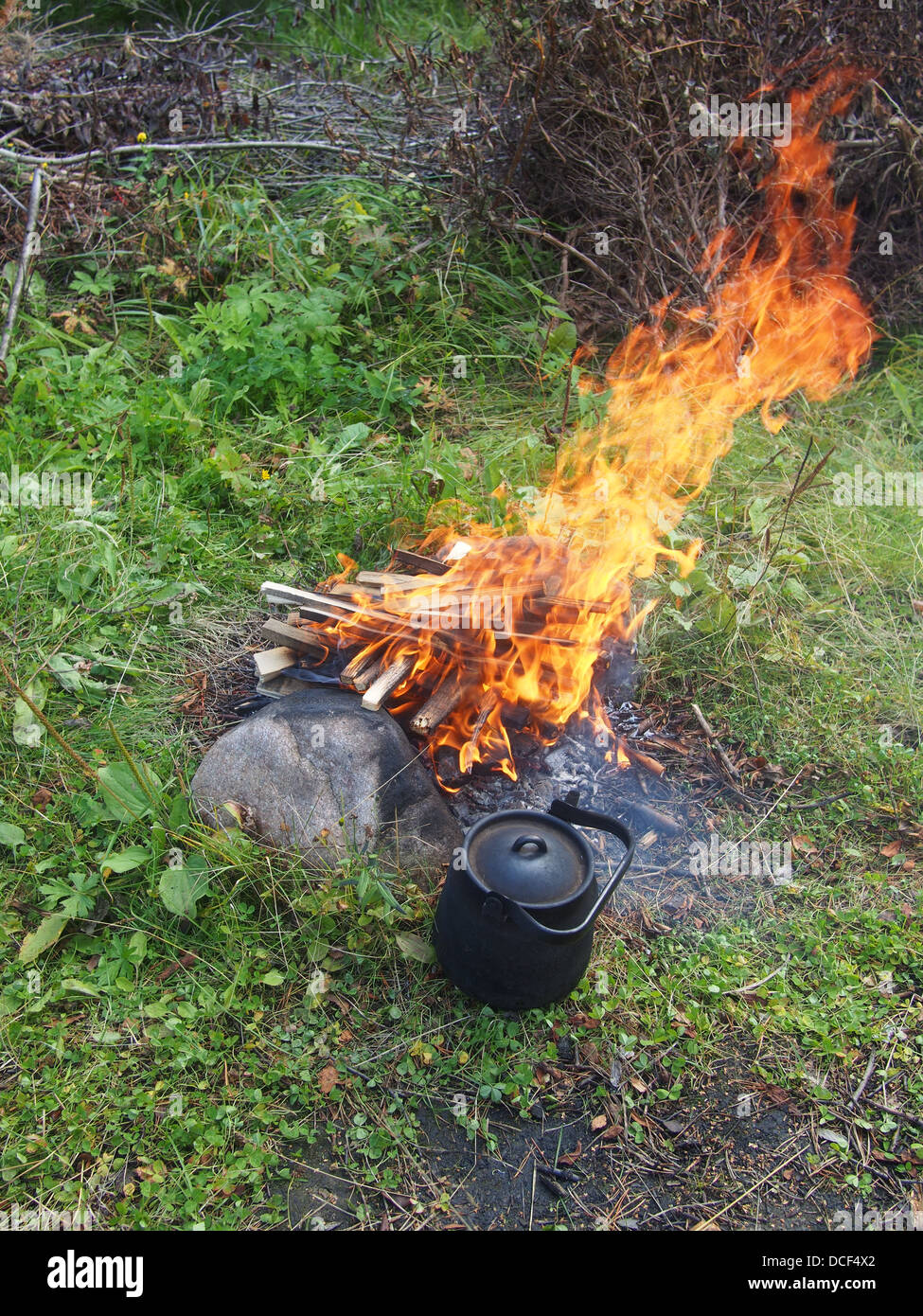 Teekanne und Kessel auf dem Feuer im Sommer Stockfoto