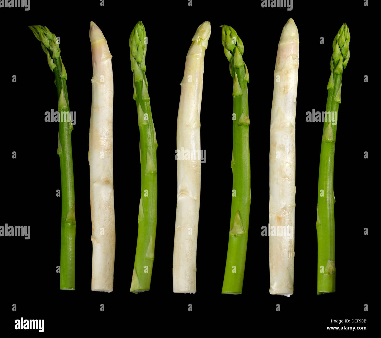 weißen und grünen Spargel Gemüse in Schwarz zurück Stockfoto