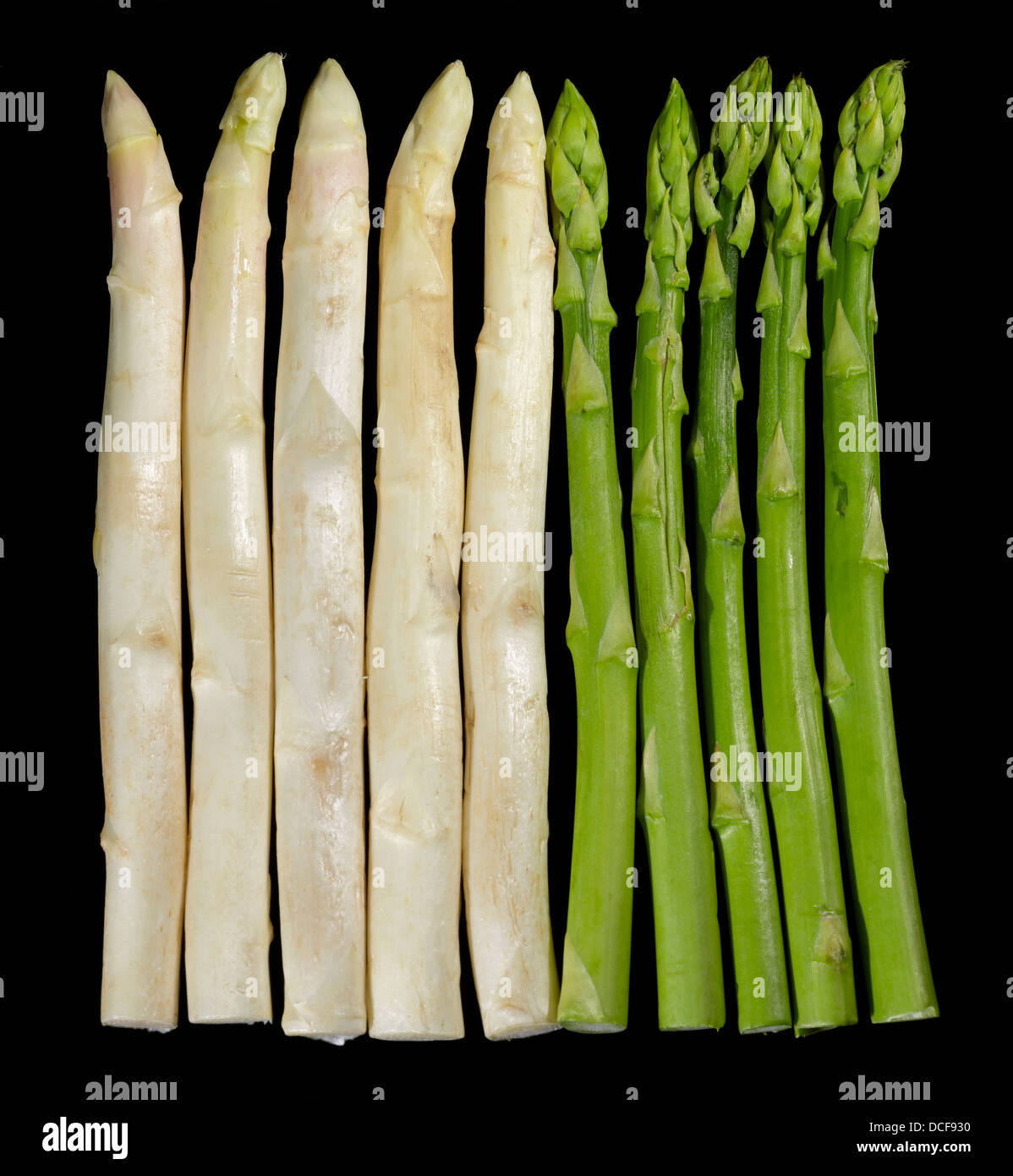 weißen und grünen Spargel Gemüse in Schwarz zurück Stockfoto