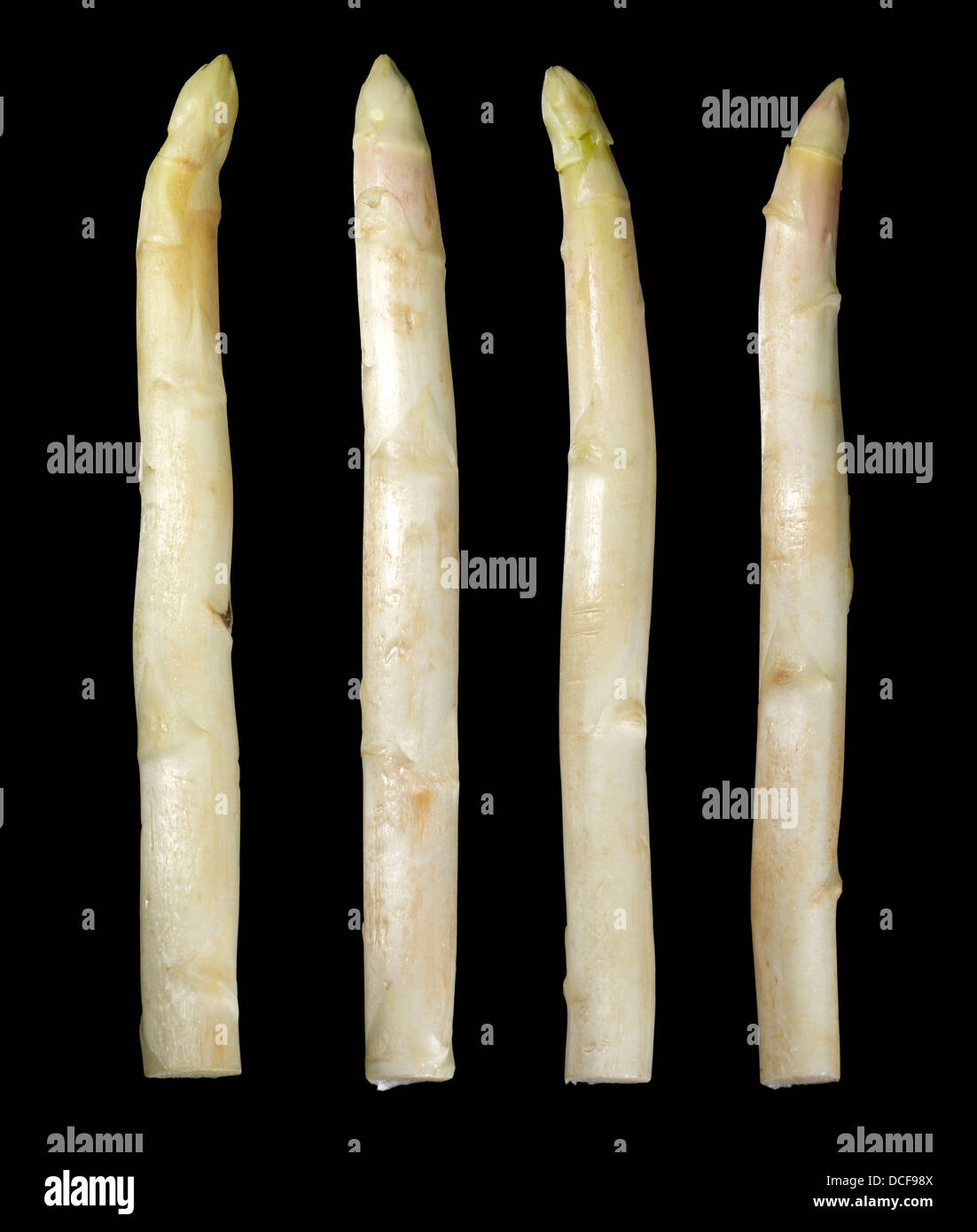 weißen und grünen Spargel Gemüse in Schwarz zurück Stockfoto