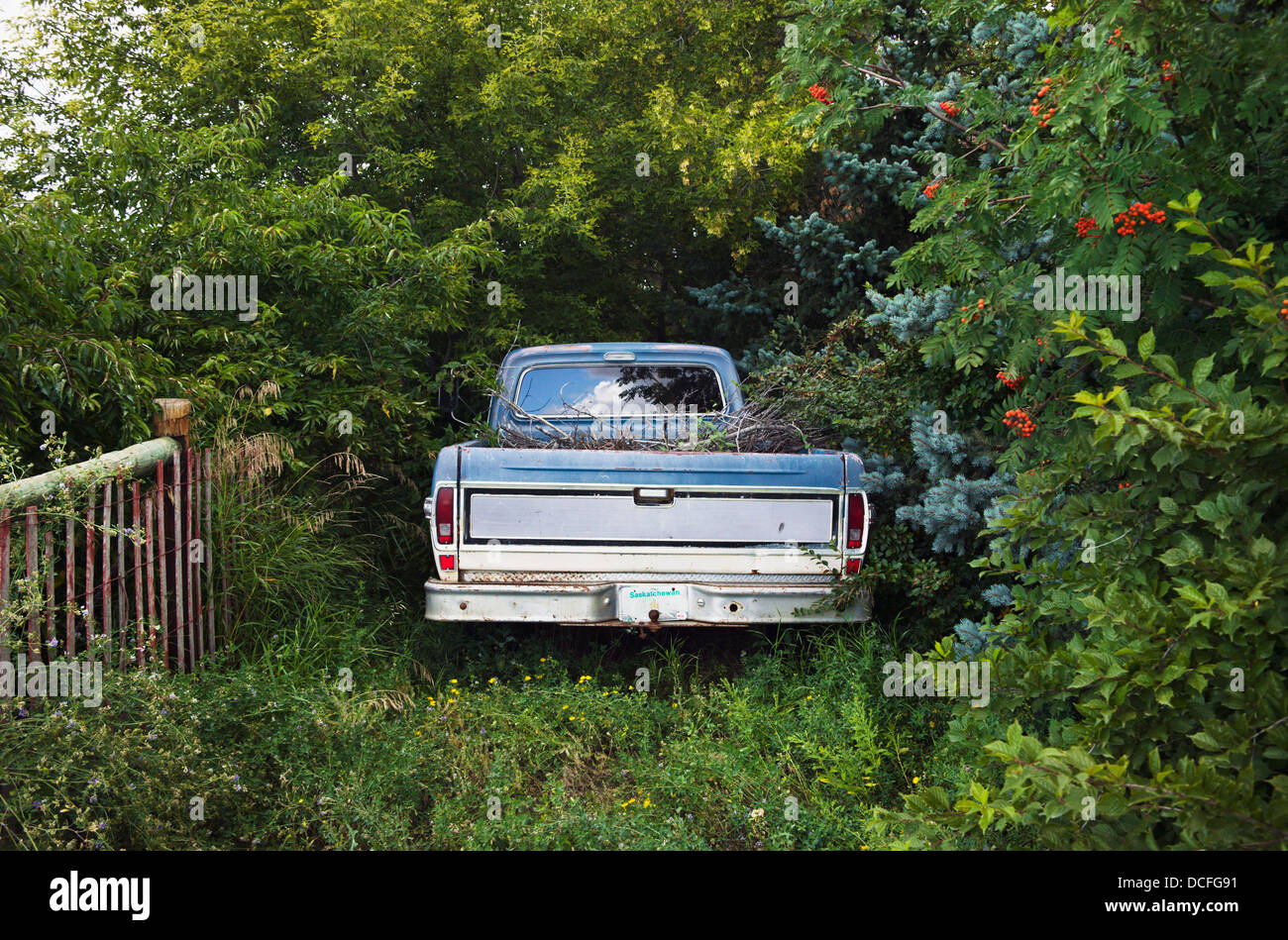 Pickup-Truck unter Bäumen geparkt; Saskatchewan Kanada Stockfoto