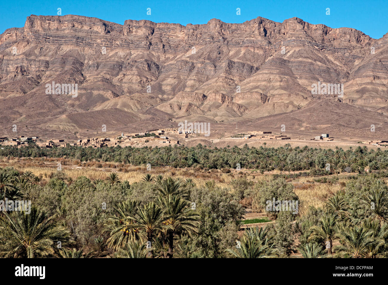 Dorf und Palm Grove. Draa-Tal, Marokko Stockfoto