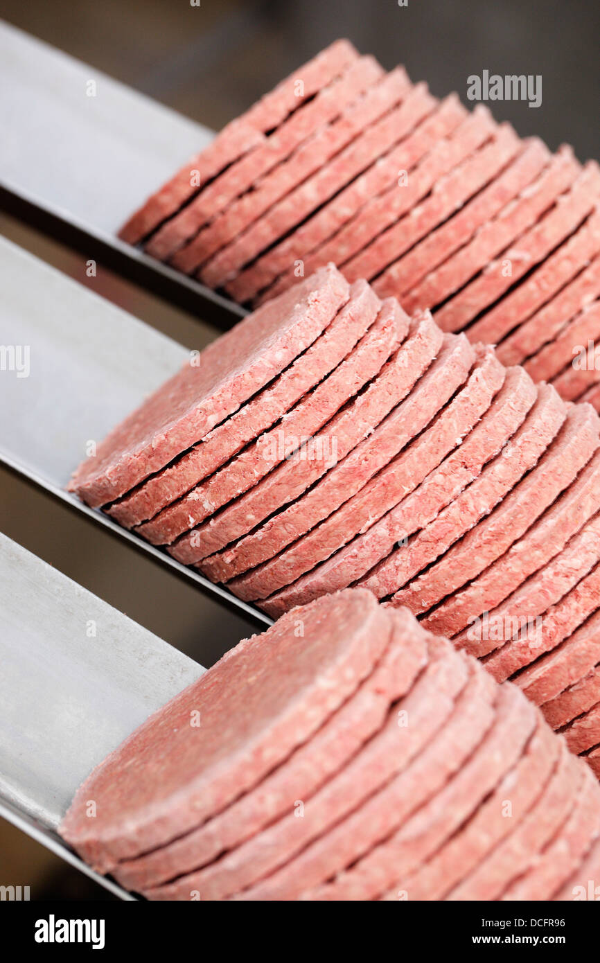 Frikadellen, fotografiert in einer Produktionsanlage Fleisch eingefroren. Stockfoto