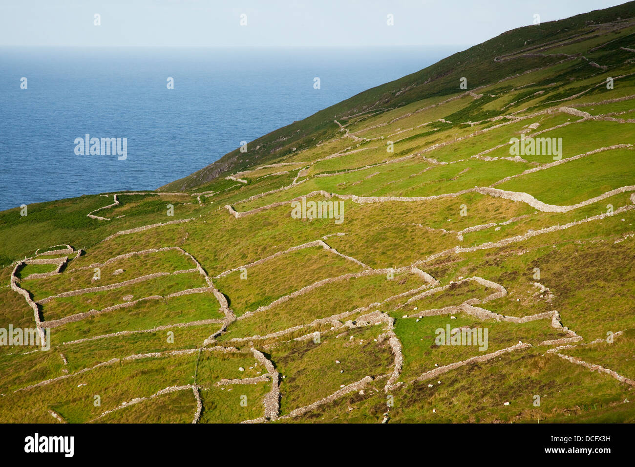 Stein-Barrieren auf küstennahen Bereich; Ballinskelligs, County Kerry, Irland Stockfoto