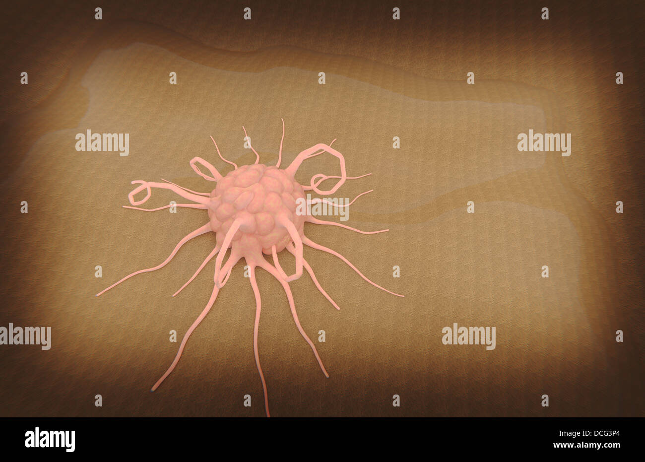3D-Rendering von Makrophagen Phagozytose. Stockfoto