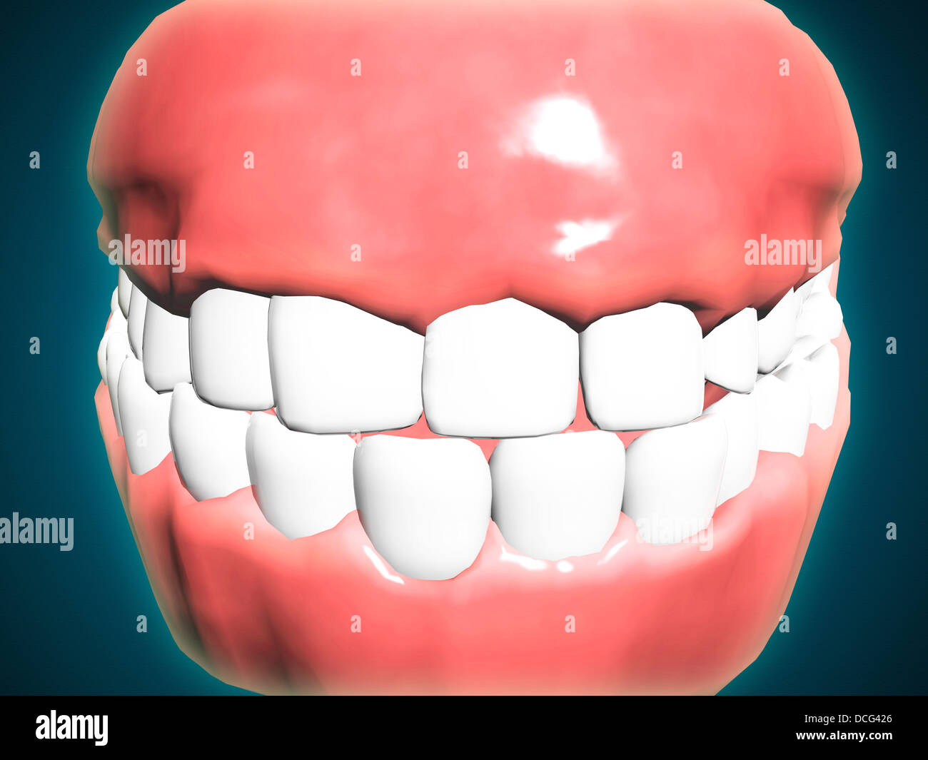 Vorderansicht des menschlichen Mund mit Zähnen und Zahnfleisch. Stockfoto