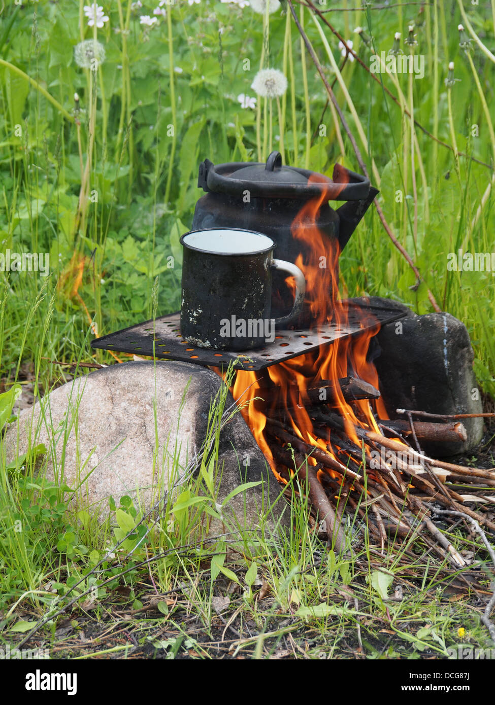 Teekanne und Kessel auf dem Feuer im Sommer Stockfoto