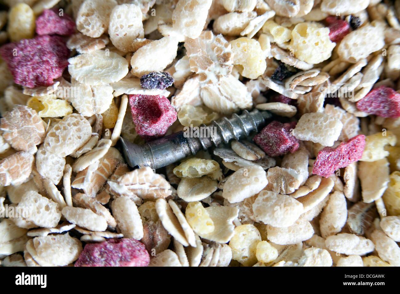 Eine Schraube gefunden Ihr Frühstück Cerealien oder Müsli. Gefährlich, Essen könnte. Stockfoto