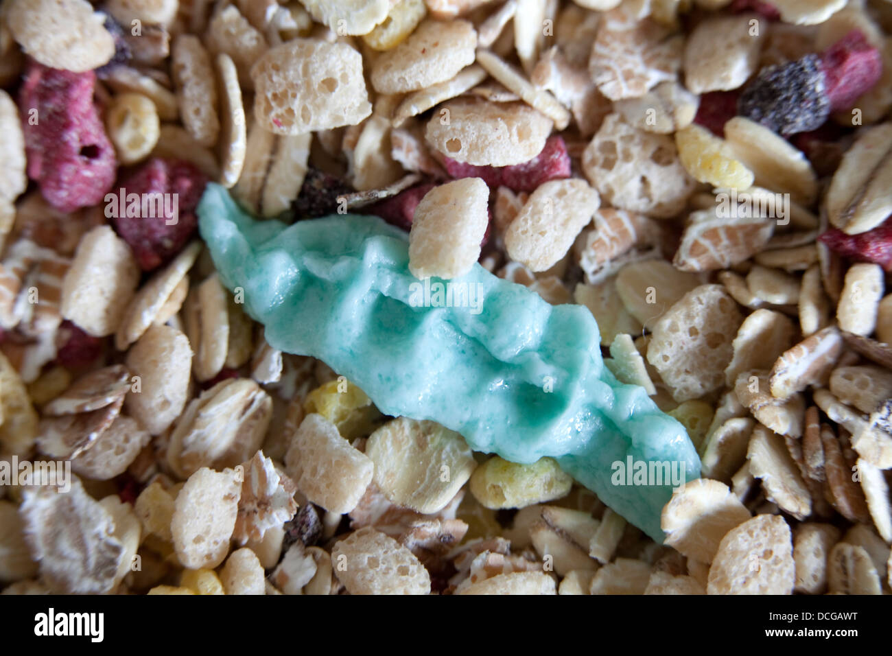 Ein Stück Kaugummi fanden in Ihr Frühstück Cerealien oder Müsli. Gefährlich, Essen könnte. Stockfoto