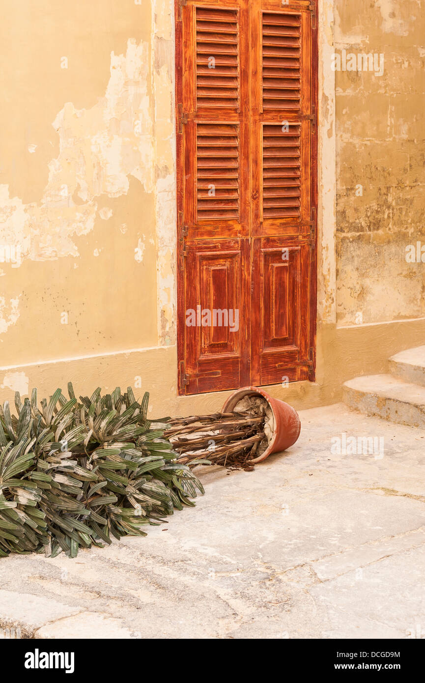 Gefallenen Topfpflanze in Gasse von Birgu Malta Stockfoto