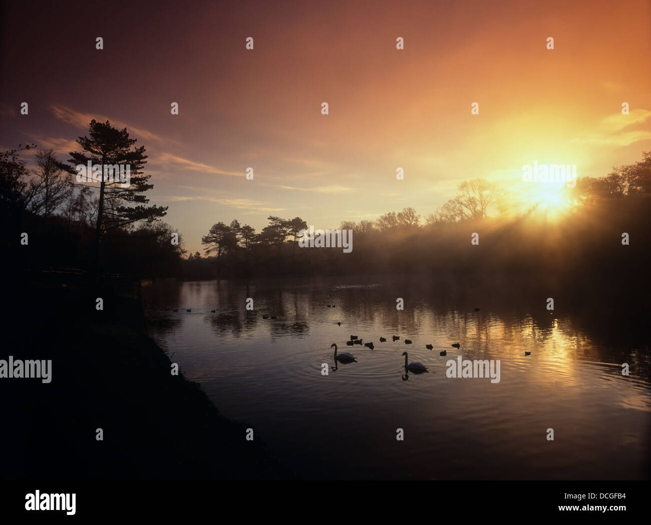 Sonnenaufgang über dem Shornden Reservoir, Alexandra Park, Hastings, East Sussex, England, VEREINIGTES KÖNIGREICH Stockfoto