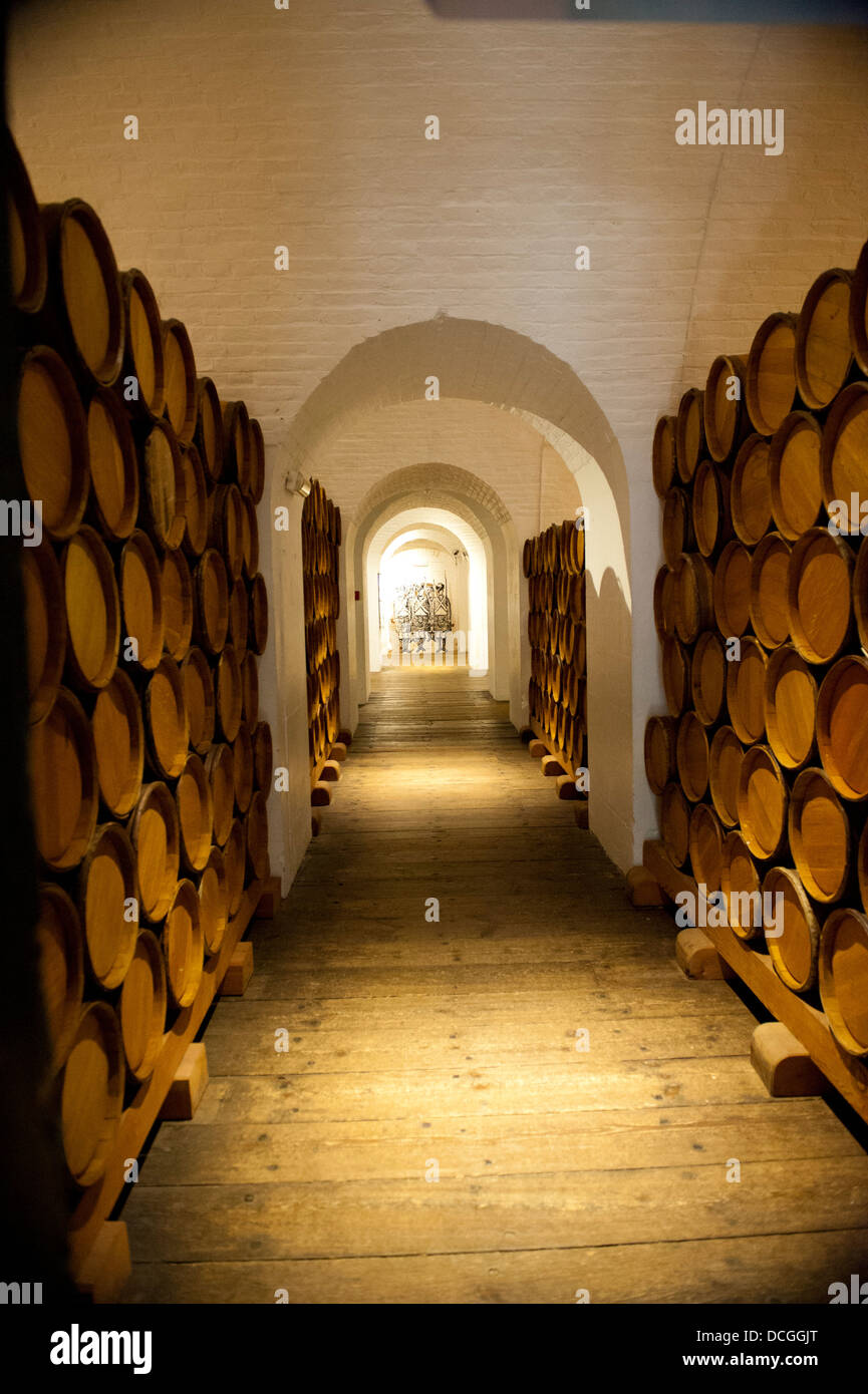 alte Gewölbe Stockfoto
