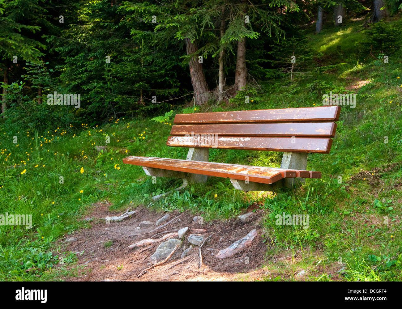 Bank Weg Alpe di Siusi Region der Dolomiten, Italien Stockfoto