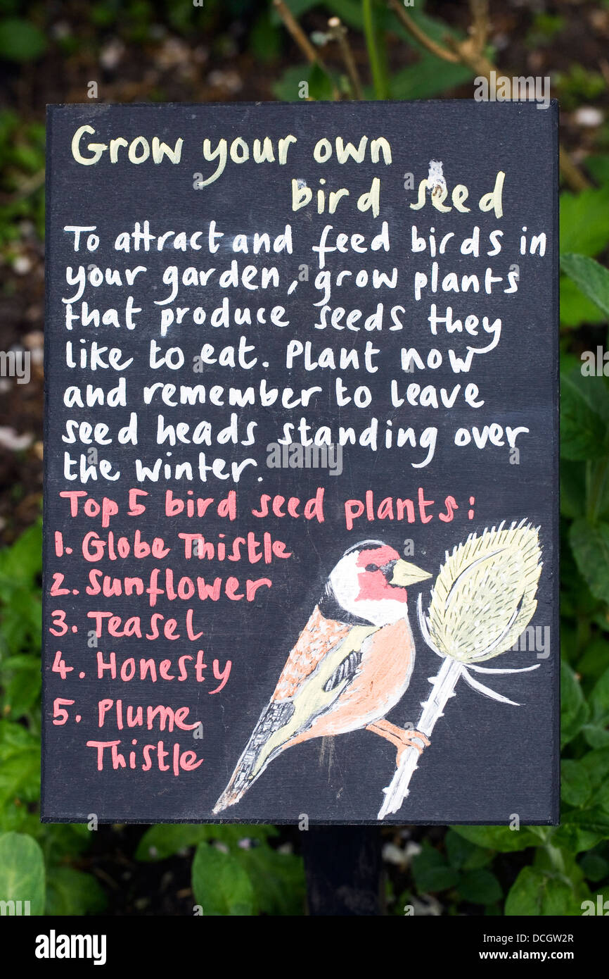 Wachsen Sie Ihre eigenen Vogelfutter. Informationen für Besucher in Ryton Bio-Garten. Stockfoto