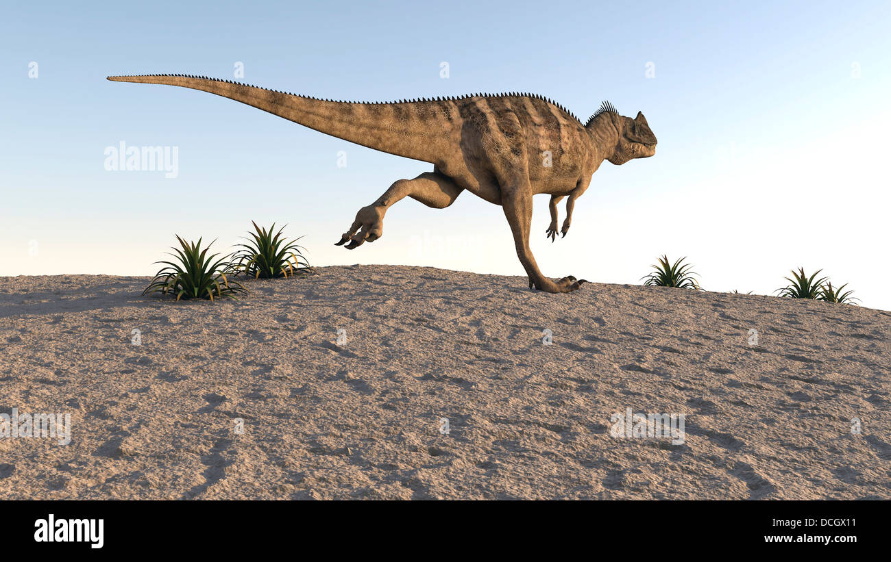 Ceratosaurus über karge Gelände laufen. Stockfoto