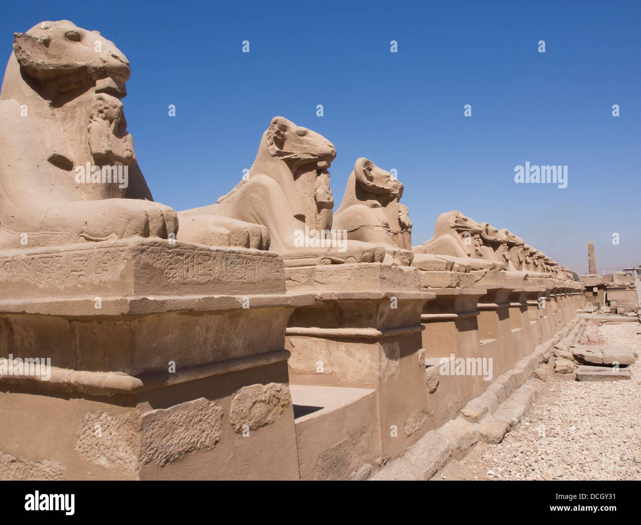 Die Allee der Sphinx in Karnak-Tempel-Ägypten Stockfoto