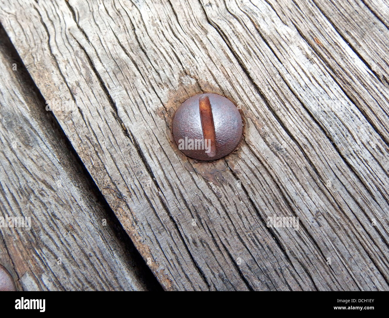 Aus Holz Textur Hintergrund mit Kopf Schrauben. Stockfoto