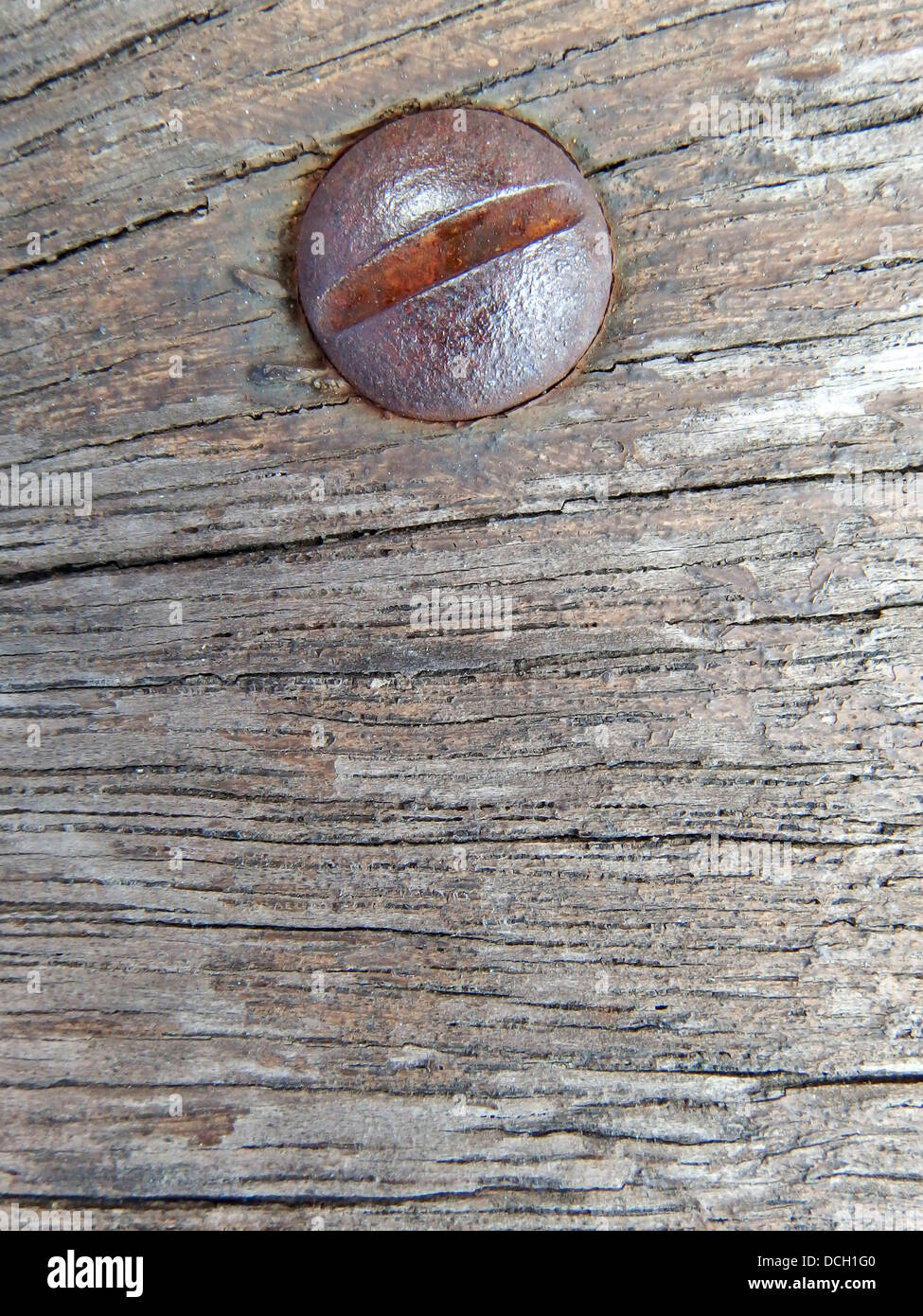Aus Holz Textur Hintergrund mit Kopf Schrauben. Stockfoto