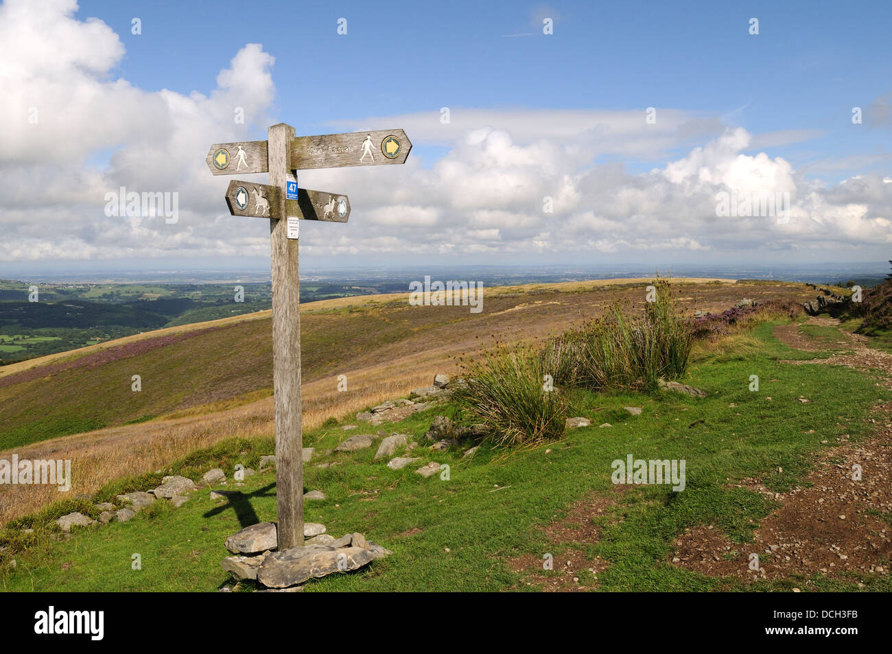 Alte hölzerne Wegweiser auf Moel Famau Clwydian Bereich Offas Dyke Path North Wales Cymru UK GB Stockfoto