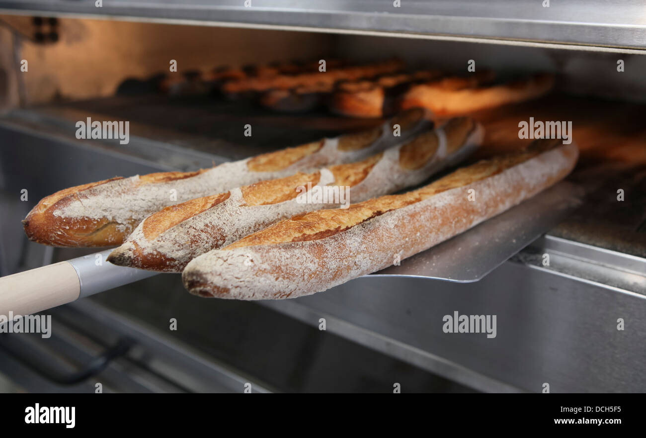 Frisch gebackenes Brot in einem elektrischen Ofen Stockfoto