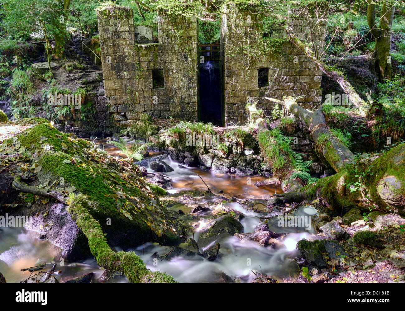 Das alte Schießpulver arbeitet bei Kennal Vale in Cornwall Stockfoto