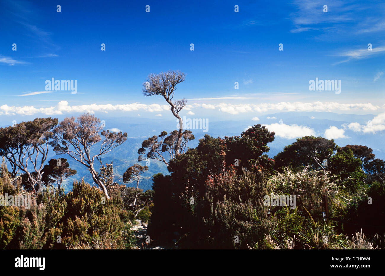 Blick vom Gunung Kinabalu, Sabah, Malaysia, in der Nähe von Sayat Sayat Stockfoto