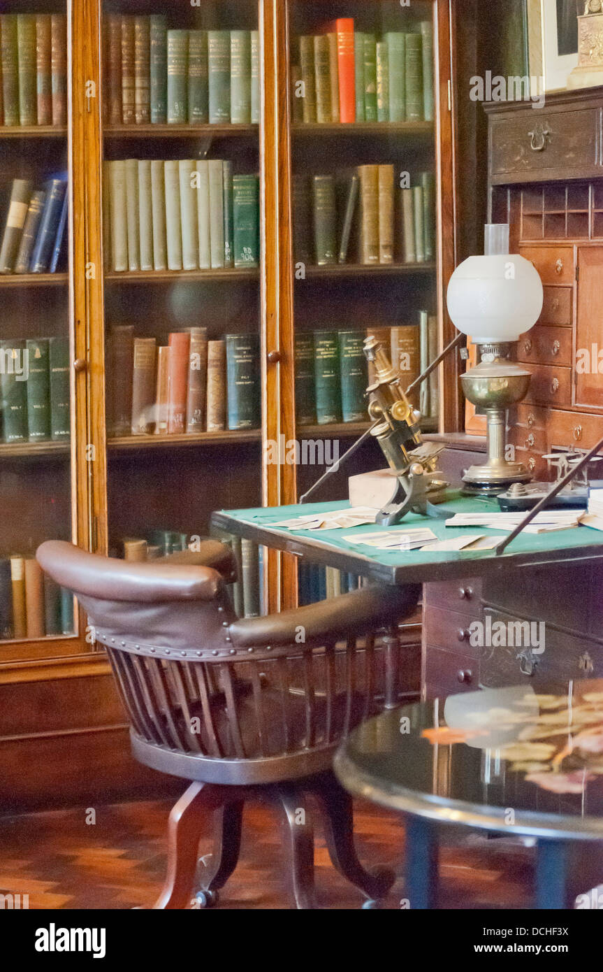 Porträtfoto einer viktorianischen Bibliothek Stil Zimmer Einstellung durch natürliches Licht beleuchtet. Stockfoto