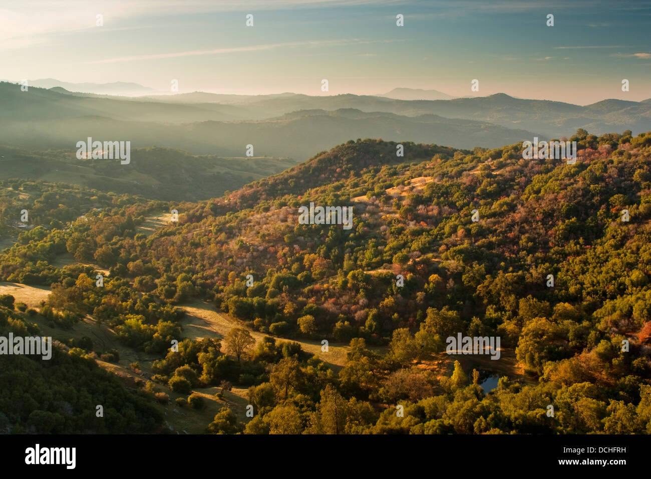 Morgenlicht auf Baum bedeckt Hügel an der westlichen Flanke der Sierra, Fresno County, Kalifornien Stockfoto