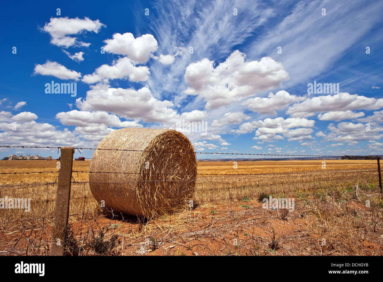 Weizen, die Landwirtschaft im mittleren Norden von South Australia Stockfoto