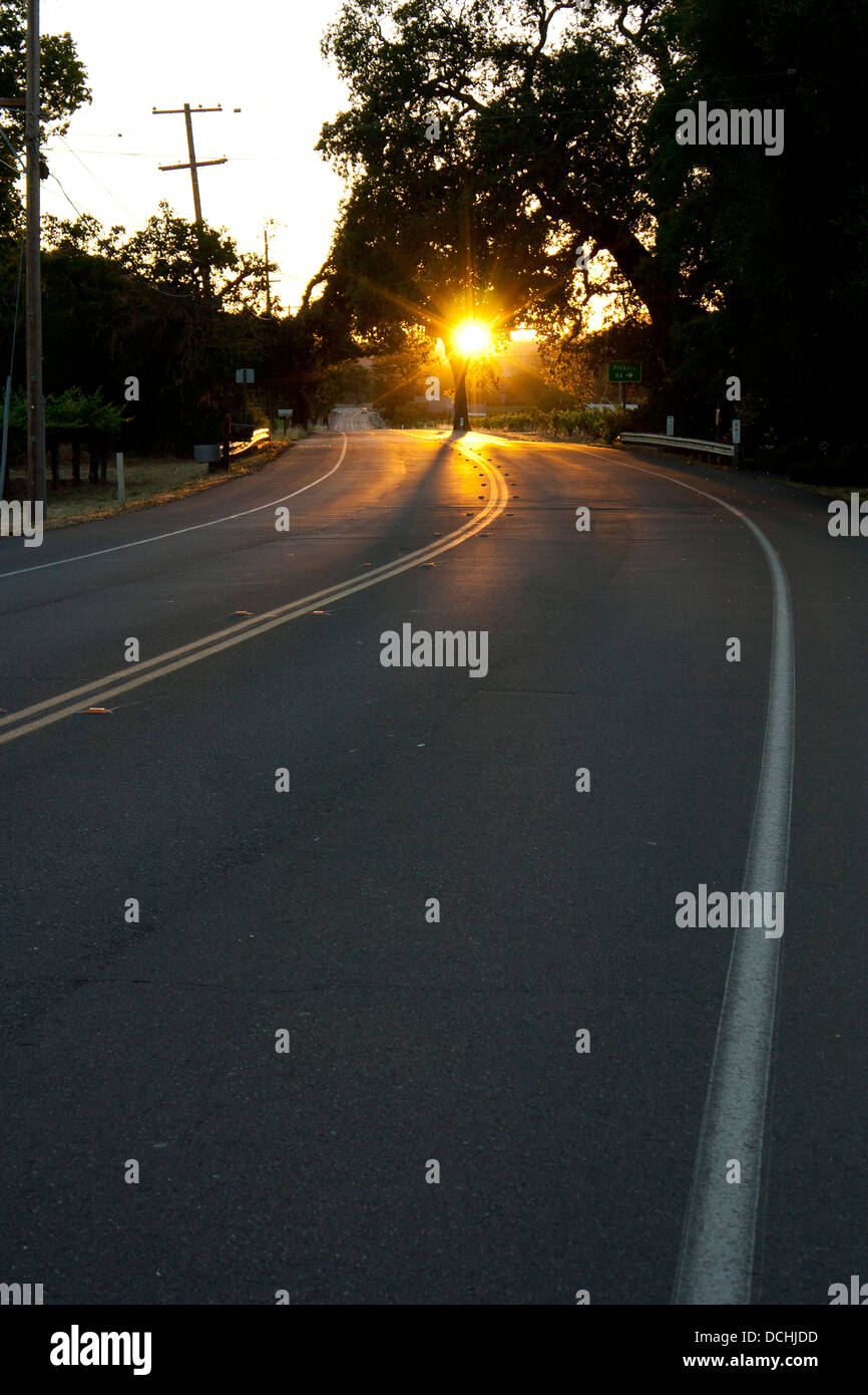 Silverado Trail Road Napa Valley Stockfoto