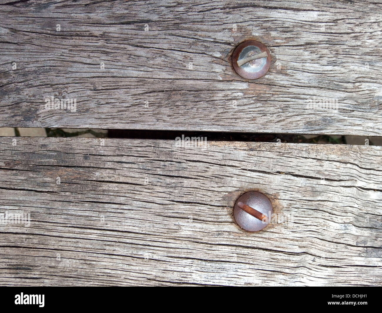 Aus Holz Textur Hintergrund mit Kopf Schrauben. Stockfoto