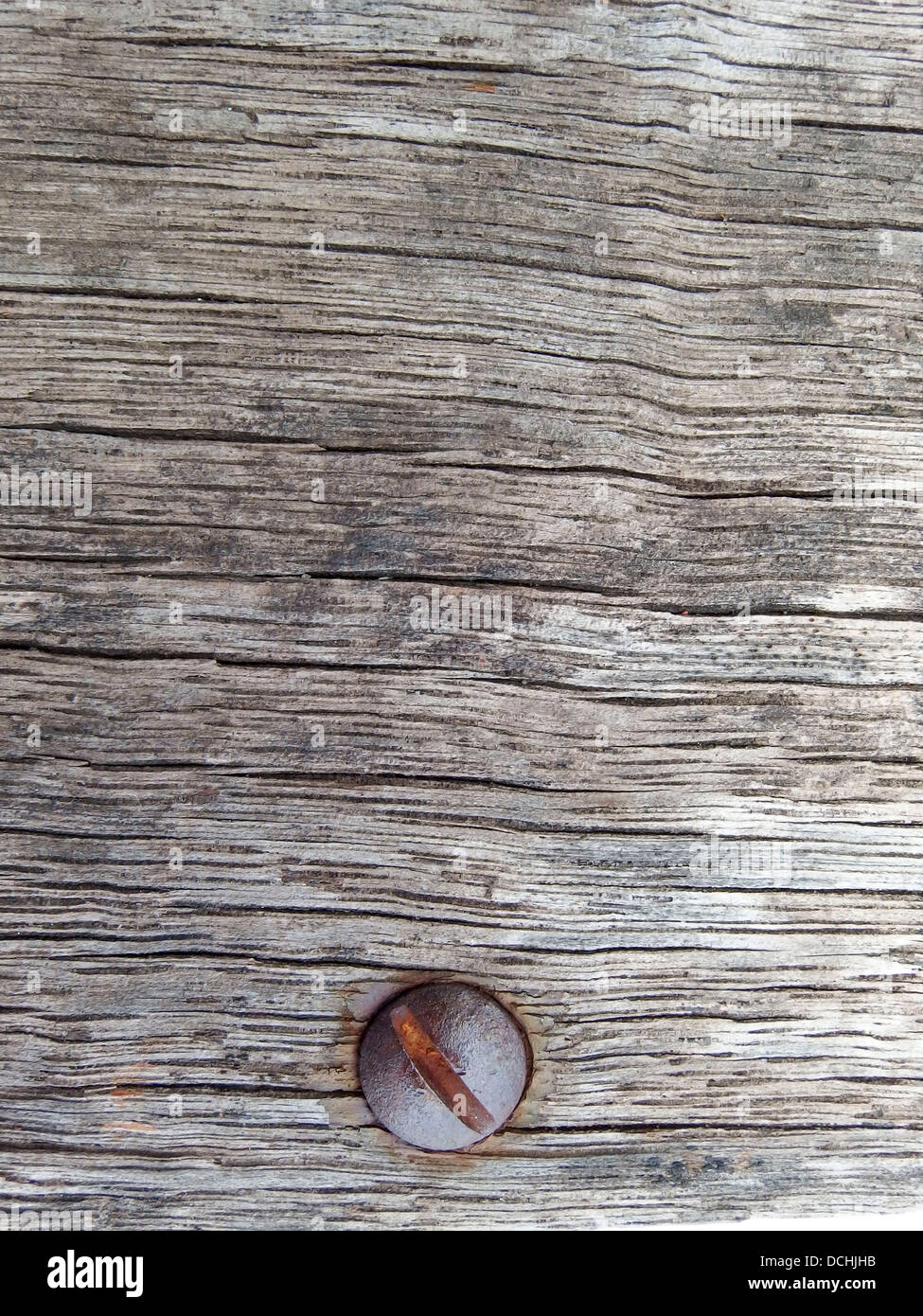 Aus Holz Textur Hintergrund mit Kopf Schrauben. Stockfoto