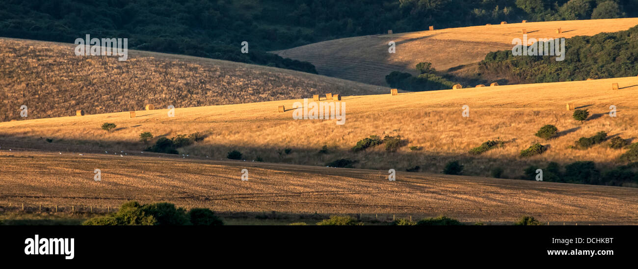 Ackerland am Fuße des Firle Beacon Stockfoto