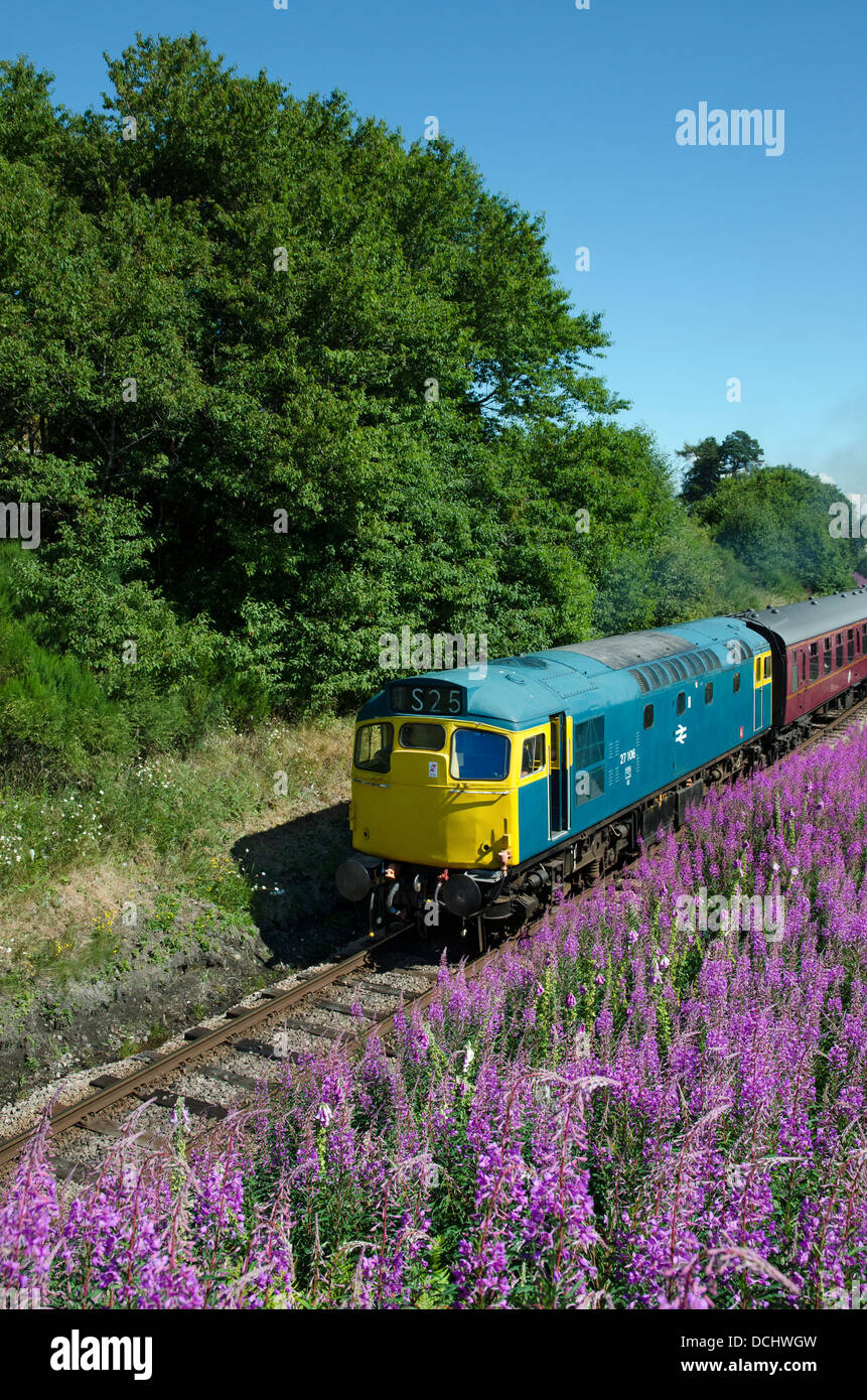 Diesel-elektrisch, Lokomotive, Klasse 27,27106, D5394, BRCW, Broomhill Station, Typ 2, Strathspey Dampfeisenbahn, Schottland Stockfoto
