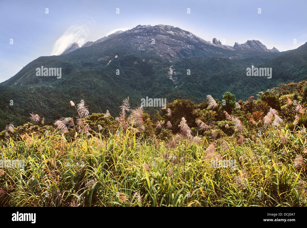 Blick auf Mount Kinabalu, Sabah, Malaysia, alpine Wiesen Stockfoto