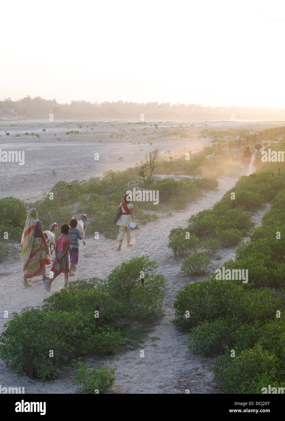 Indische Frau und Kinder zu Fuß entlang der Ufer des Flusses Yamuna in der Dämmerung / Dämmerung. Agra, Indien Stockfoto