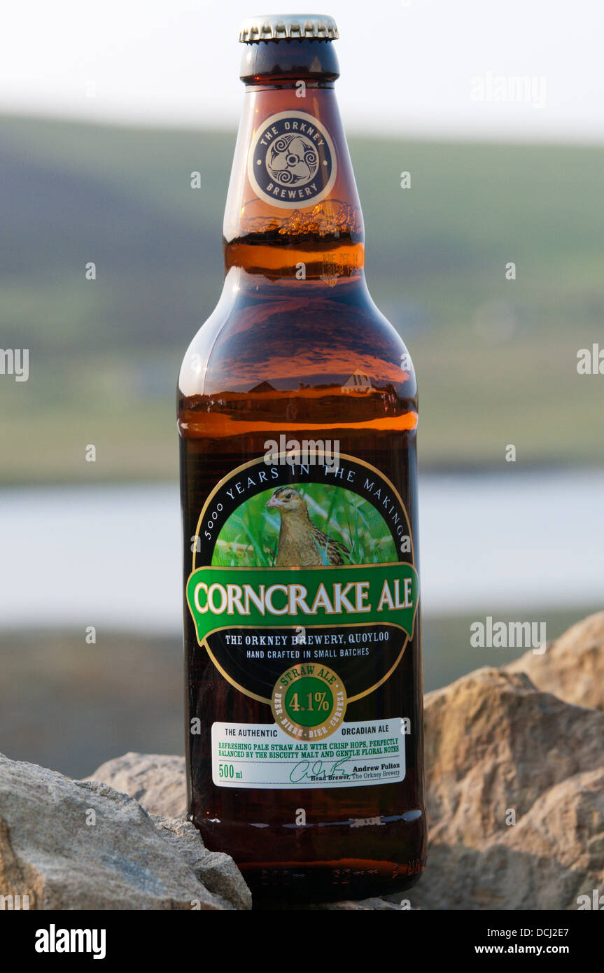 Eine Flasche der Orkney Brauerei Wachtelkönig Ale, vor der Bucht erste, Festland, Orkney. Stockfoto
