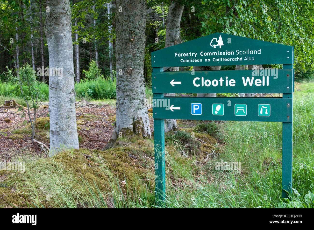 Das Clootie auch Forstwirtschaft Kommission Schottland Zeichen. Stockfoto