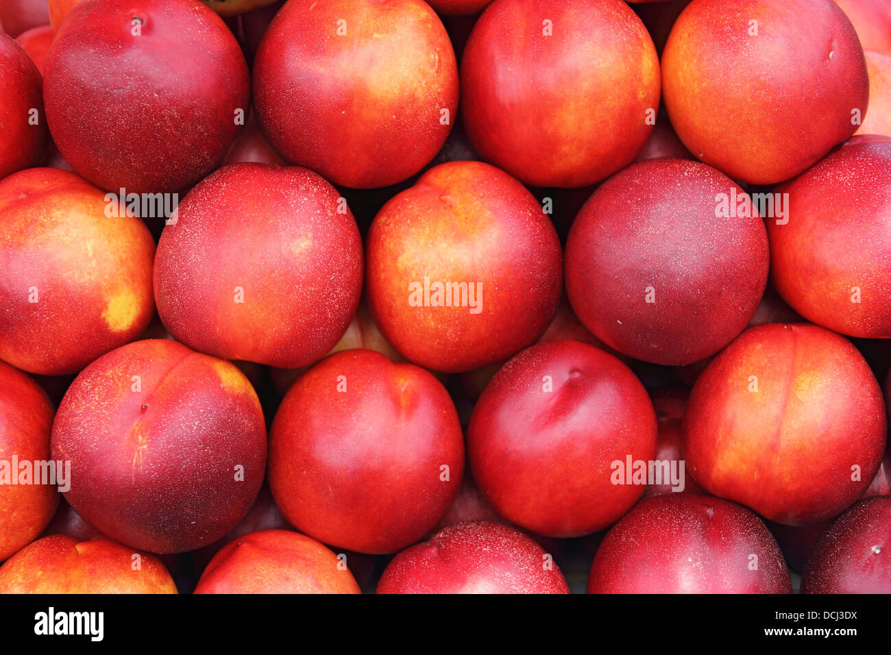 Viel Reife und saftige Nektarinen auf dem Markt Stockfoto