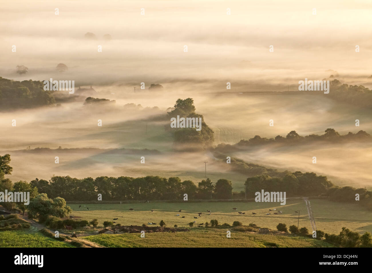 Tief liegende Nebel über der Weald von Sussex Stockfoto